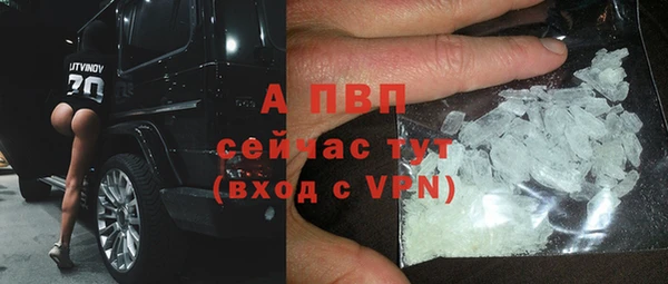 тгк Гусев