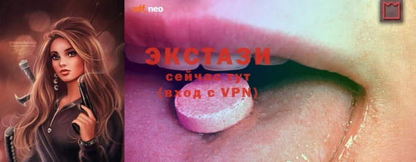 тгк Гусев