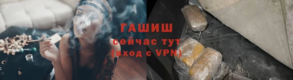 тгк Гусев