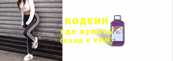 тгк Гусев