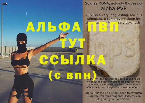 тгк Гусев