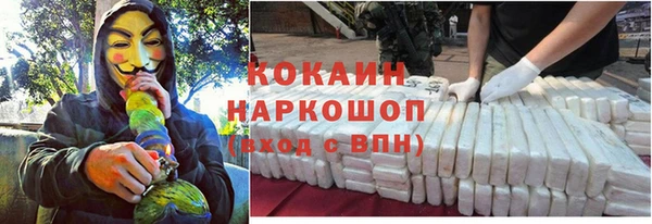 тгк Гусев