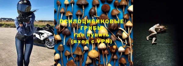 тгк Гусев