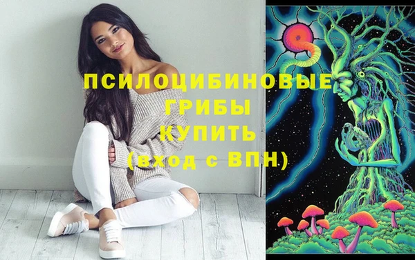 MDMA Premium VHQ Гусиноозёрск